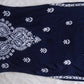 Tulipa Navy Blue Long Rayon kurta